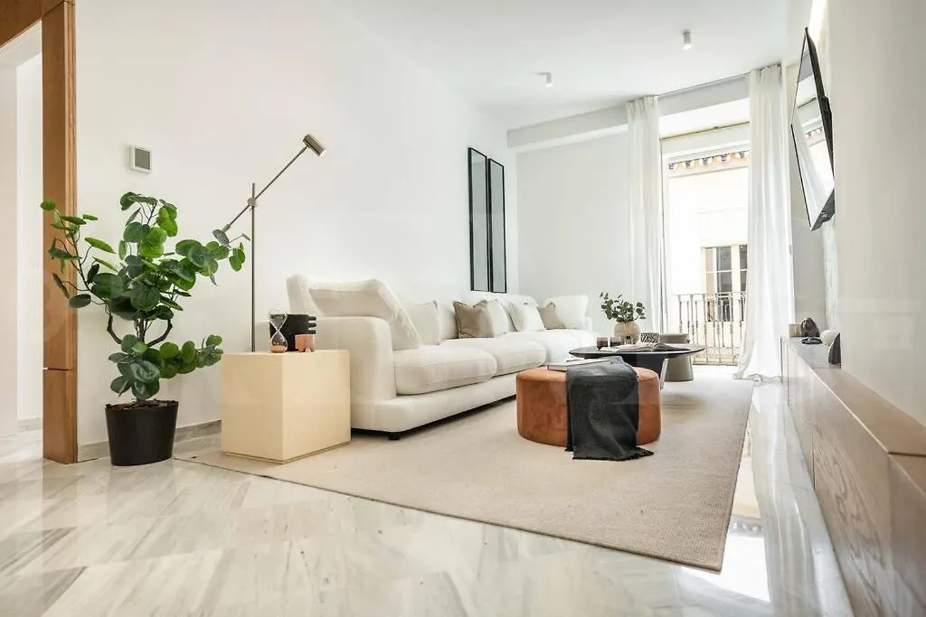 Sophisticated Apartment & Private Terrace - Center By Rems Malaga
