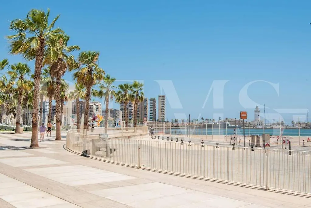 Sophisticated Apartment & Private Terrace - Center By Rems Malaga